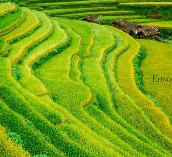 Minority Cultures of Guizhou & Guangxi — view 3